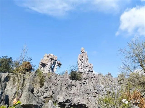 微信图片_20220217102806.jpg