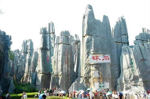 微信图片_20220217102810.jpg