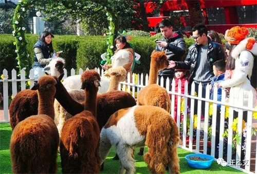 微信图片_20220217102928.jpg
