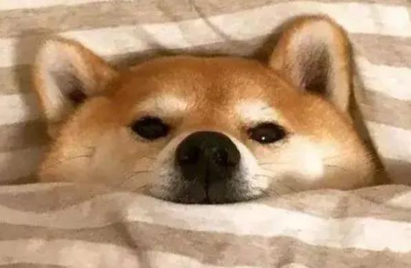 1645665691136066.jpg 微信截图_20220224092124.jpg