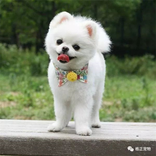 微信图片_20220316113509.jpg
