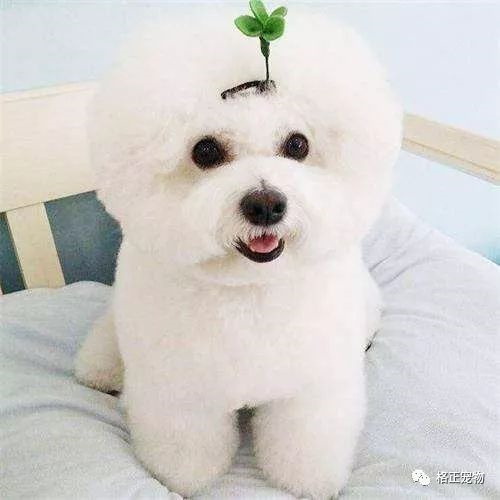 微信图片_20220316113520.jpg
