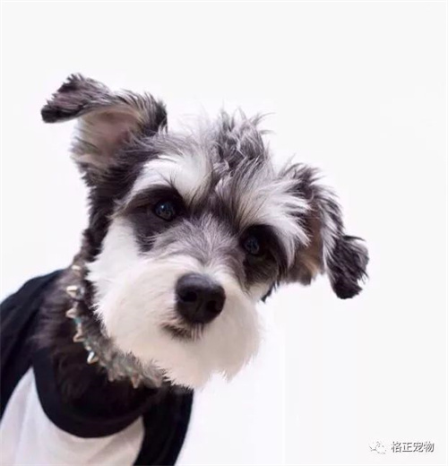 微信图片_20220316113527.jpg