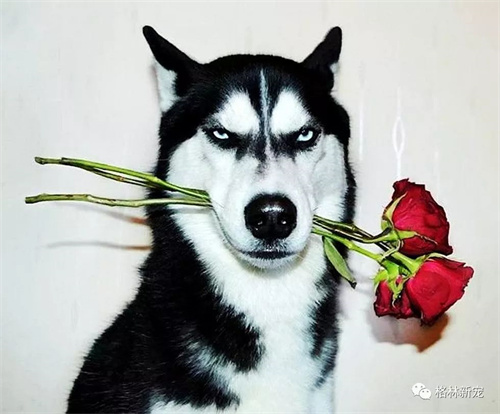 微信图片_20220321113928.jpg