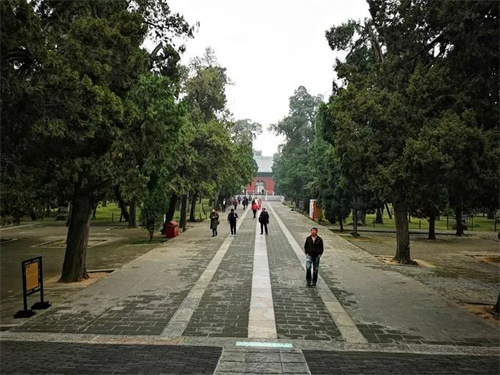 微信图片_20220324102216.jpg