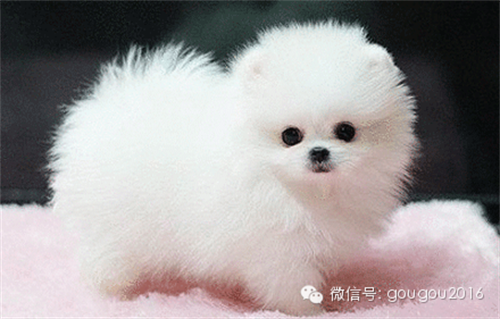 微信图片_20220328112229.png