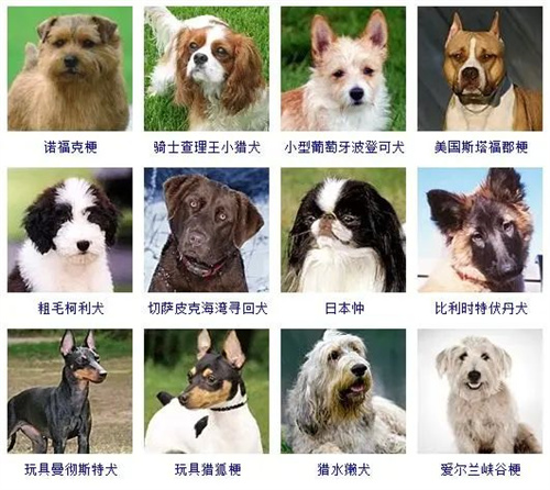 微信图片_20220406114725.jpg