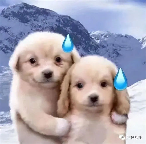 微信图片_20220413102413.jpg