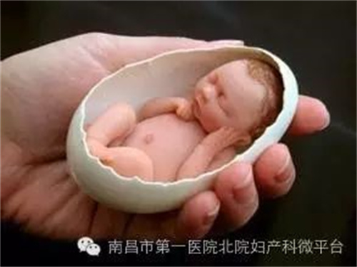 微信图片_20220414093445.jpg