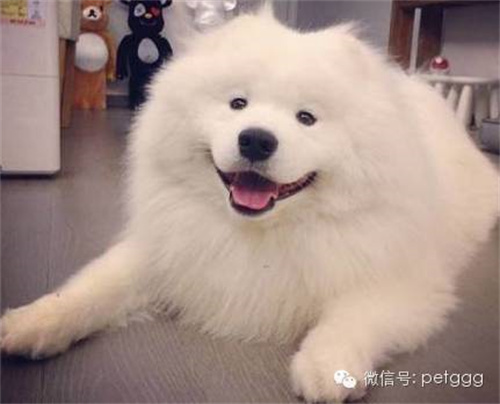 微信图片_20220422130319.jpg