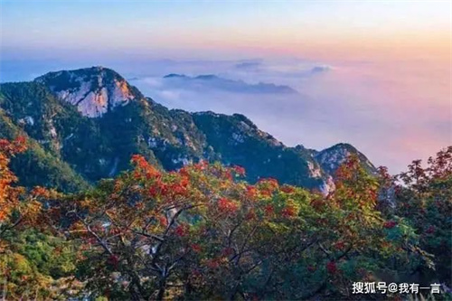 微信图片_20220507094027.jpg
