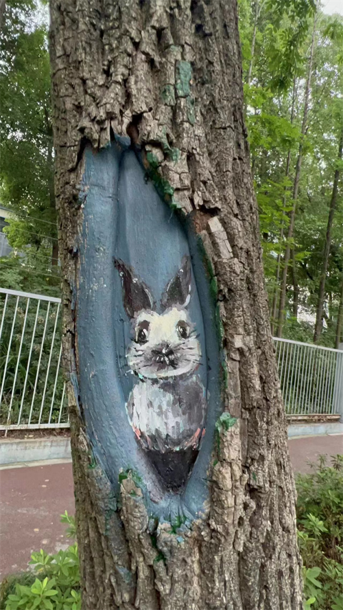 微信图片_20220519092158.png