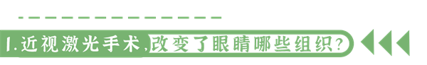 图片28.png
