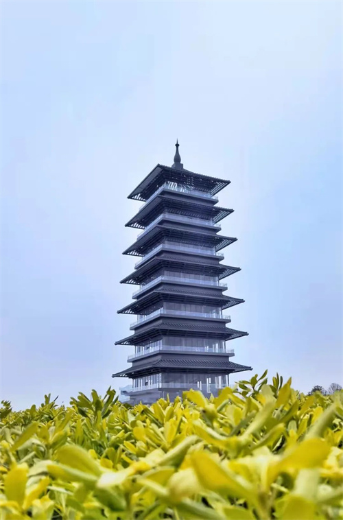 微信图片_20220527110651.jpg