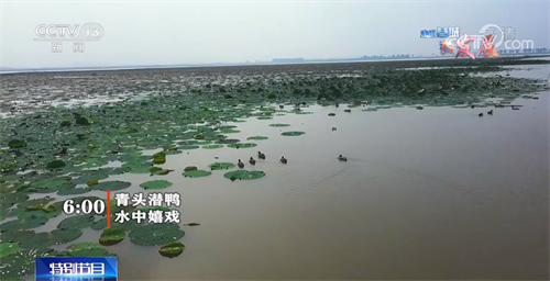 微信图片_20220613113205.png