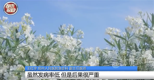 微信图片_20220615110641.png