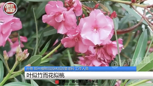 微信图片_20220615110647.png