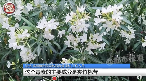微信图片_20220615110651.png