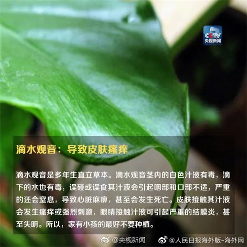 微信图片_20220615110735.jpg