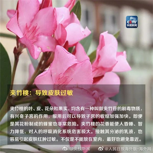 微信图片_20220615110834.jpg