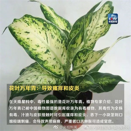 微信图片_20220615110840.jpg