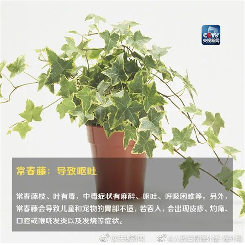 微信图片_20220615110843.jpg