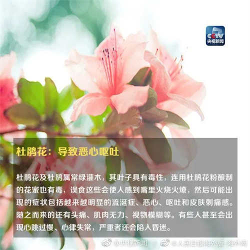 微信图片_20220615110847.jpg