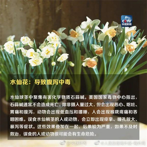 微信图片_20220615110850.jpg