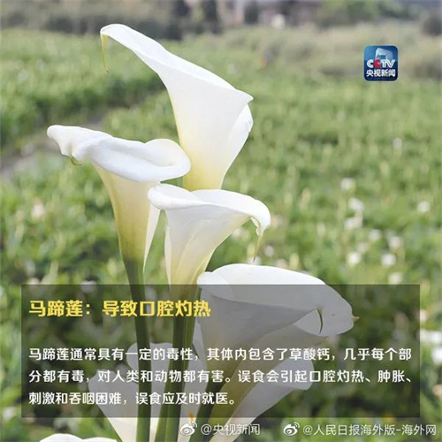 微信图片_20220615110853.jpg