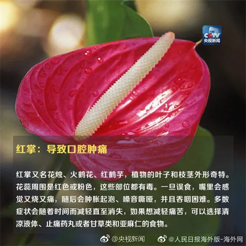 微信图片_20220615110856.jpg