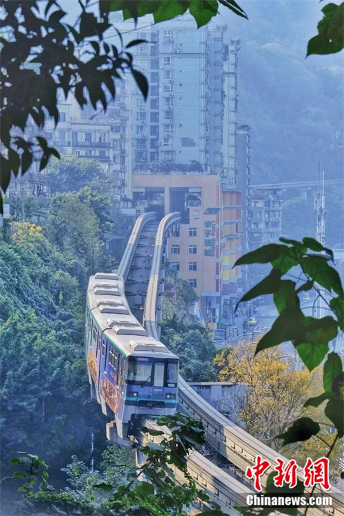 微信图片_20220704100228.jpg