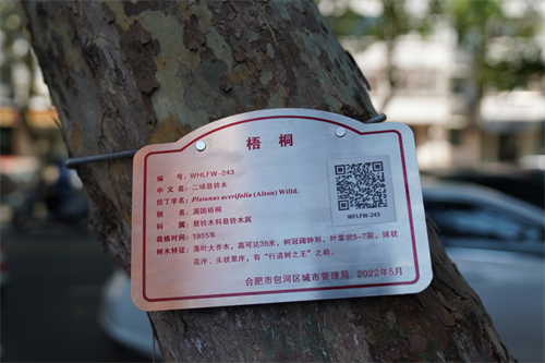 微信图片_20220808103133.png
