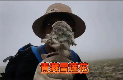 微信图片_20220815102313.jpg