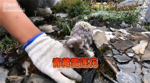 微信图片_20220815102316.jpg