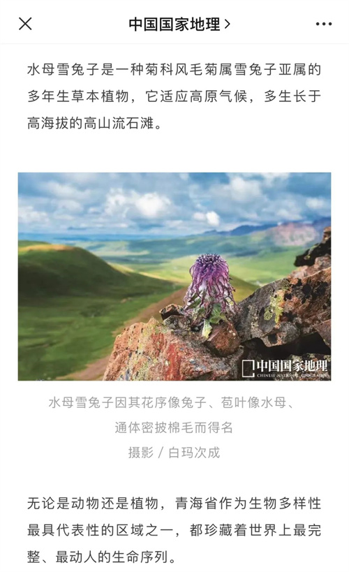微信图片_20220815102319.jpg