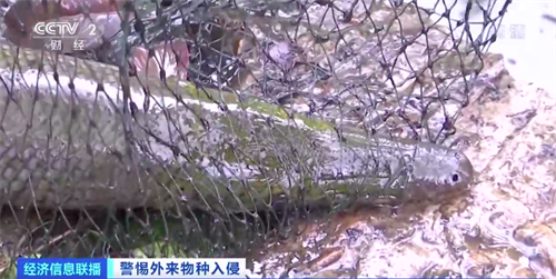 微信图片_20220829133742.png
