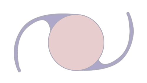 图片19.png