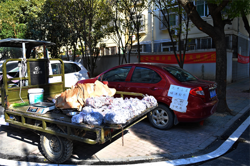 微信图片_20221021103837.png