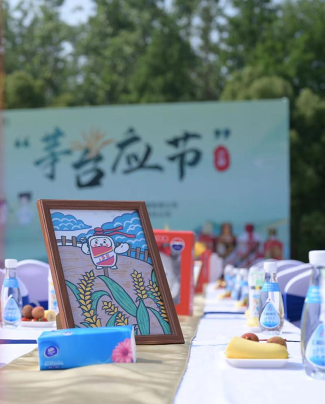 图片8.png