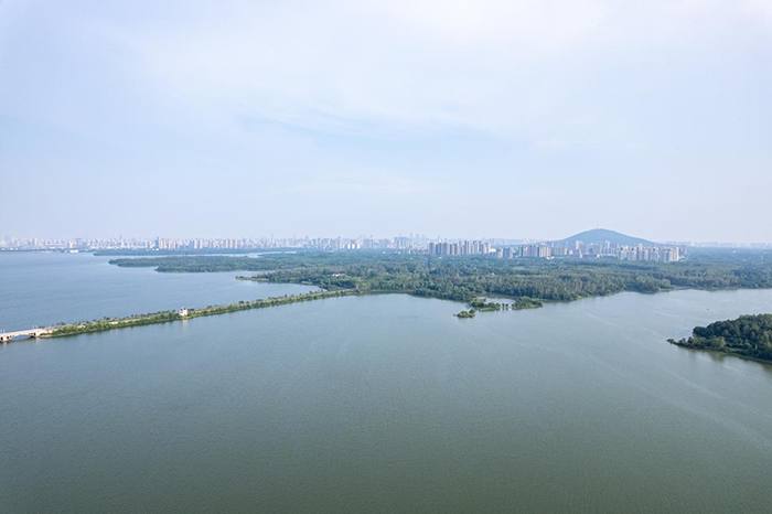 图片7.png