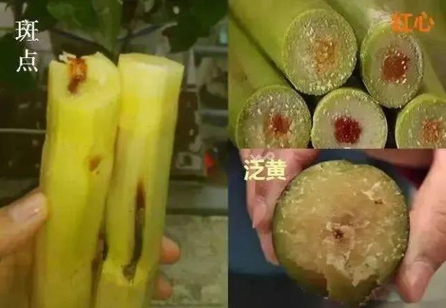 清明前后，吃这个食物要谨慎！